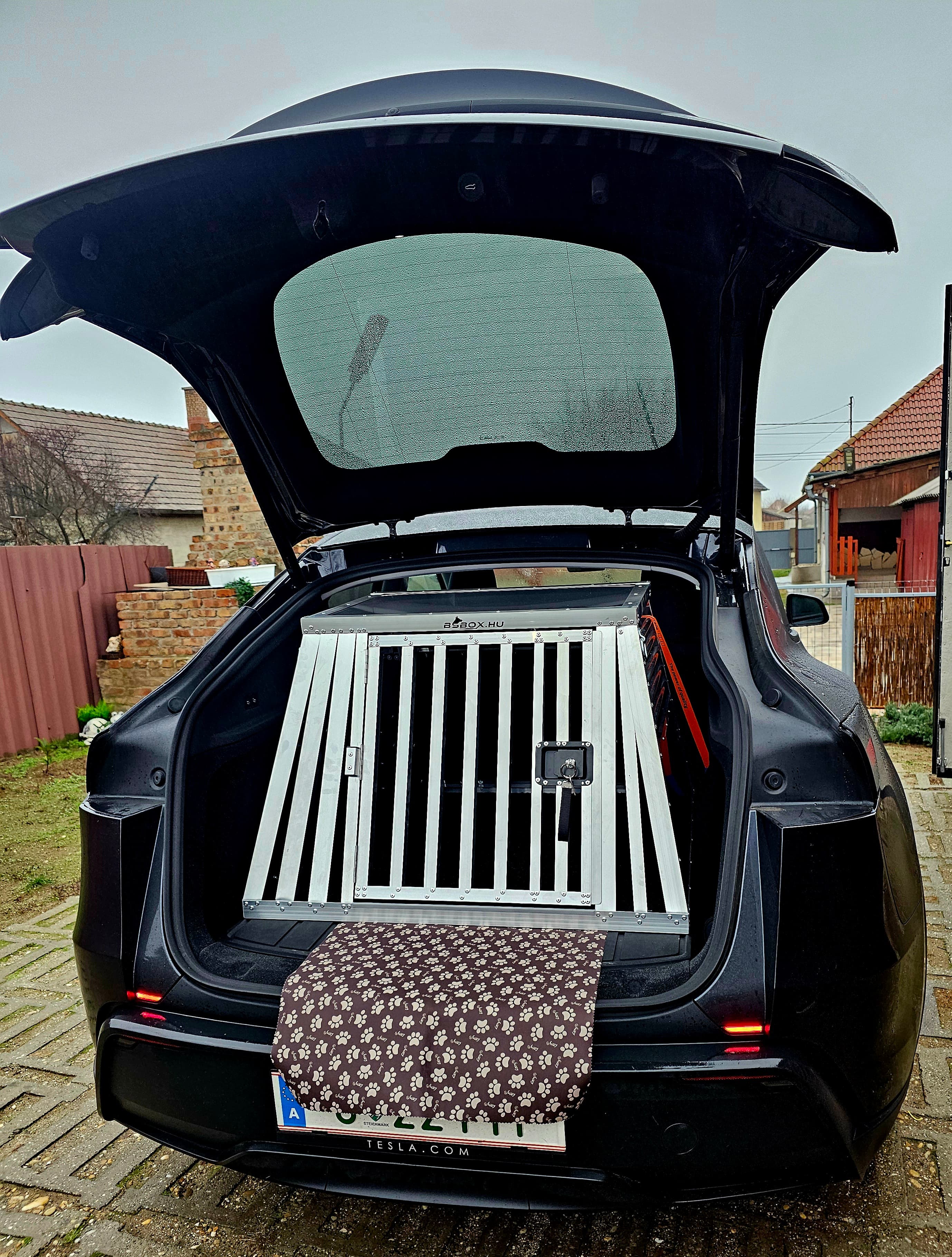 Sample dogbox 0